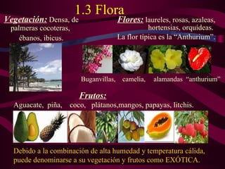 1.3 Flora Flores:  laureles, rosas, azaleas, hortensias, orquídeas.  La flor típica es la “Anthurium”. Vegetación:  Densa, de palmeras cocoteras,  ébanos, ibicus. Debido a la c ombinación de alta humedad y temperatura cálida , puede denominarse a su vegetación y frutos como EXÓTICA. Aguacate,  piña,  coco,  plátanos,mangos, papayas, litchis.  Buganvillas,  camelia,   alamandas  “anthurium” Frutos: 