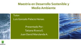 Tutor:
Luis Gonzalo Palacio Henao.
Presentado Por:
Tatiana Rivera E.
Juan David MarulandaA.
Maestria en Desarrollo Sostenible y
Medio Ambiente
 