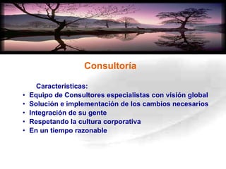 Consultoría Características: Equipo de Consultores especialistas con visión global Solución e implementación de los cambios necesarios Integración de su gente Respetando la cultura corporativa  En un tiempo razonable 