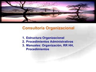 Consultoría Organizacional Estructura Organizacional Procedimientos Administrativos Manuales: Organización, RR HH, Procedimientos 
