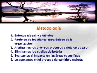 Metodología Enfoque global  y sistémico Partimos de los planes estratégicos de la organización Analizamos los diversos procesos y flujo de trabajo  Eliminamos los cuellos de botella Evaluamos el impacto en las áreas específicas Le apoyamos en el proceso de cambio y mejoras 