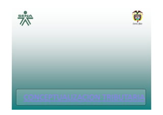 CONCEPTUALIZACION TRIBUTARIACONCEPTUALIZACION TRIBUTARIACONCEPTUALIZACION TRIBUTARIACONCEPTUALIZACION TRIBUTARIA
 