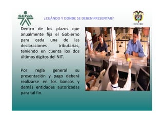 ¿CUÁNDO Y DONDE SE DEBEN PRESENTAR?
Dentro de los plazos que
¿CUÁNDO Y DONDE SE DEBEN PRESENTAR?
anualmente fija el Gobierno
para cada una de las
declaraciones trib tariasdeclaraciones tributarias,
teniendo en cuenta los dos
últimos dígitos del NIT.últimos dígitos del NIT.
Por regla general suPor regla general su
presentación y pago deberá
realizarse en los bancos y
demás entidades autorizadas
para tal fin.
 