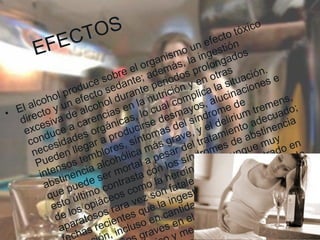 EFECTOS El alcohol produce sobre el organismo un efecto tóxico directo y un efecto sedante; además, la ingestión excesiva de alcohol durante periodos prolongados conduce a carencias en la nutrición y en otras necesidades orgánicas, lo cual complica la situación. Pueden llegar a producirse desmayos, alucinaciones e intensos temblores, síntomas del síndrome de abstinencia alcohólica más grave, y el delirium tremens, que puede ser mortal a pesar del tratamiento adecuado; esto último contrasta con los síndromes de abstinencia de los opiáceos como la heroína, que aunque muy aparatosos rara vez son fatales. Se ha demostrado en fechas recientes que la ingestión de alcohol durante la gestación, incluso en cantidades moderadas, puede producir daños graves en el feto, especialmente retraso en el desarrollo físico y mental; la forma más grave de este retraso, poco frecuente, se llama síndrome de alcoholismo fetal . 
