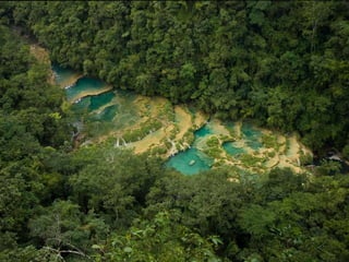 Presentacion ivan castro pecha cocha
