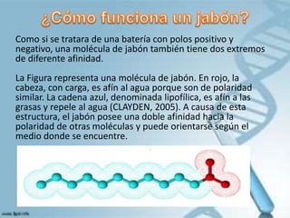 Como si se tratara de una batería con polos positivo y
negativo, una molécula de jabón también tiene dos extremos
de diferente afinidad.
La Figura representa una molécula de jabón. En rojo, la
cabeza, con carga, es afín al agua porque son de polaridad
similar. La cadena azul, denominada lipofílica, es afín a las
grasas y repele al agua (CLAYDEN, 2005). A causa de esta
estructura, el jabón posee una doble afinidad hacia la
polaridad de otras moléculas y puede orientarse según el
medio donde se encuentre.
 