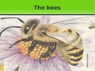 The bees  Pulse para añadir texto 