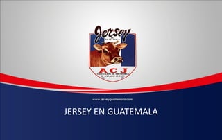 JERSEY EN GUATEMALA
 