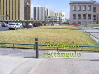 Triangulo rectángulo