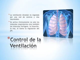 * Laventilación Alveolar es regulada
 por una red de centros y vías
 neuronales.
* Se activa rítmicamente no solo los
 músculos respiratorios sino también
 los músculos faríngeos, la fonación,
 la risa, el llanto la regulación del
 pH.




*
 