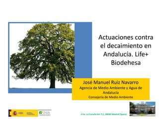 Crta. La Coruña km 7,5, 28040 Madrid (Spain)
José Manuel Ruiz Navarro
Agencia de Medio Ambiente y Agua de
Andalucía
Consejería de Medio Ambiente
Actuaciones contra
el decaimiento en
Andalucía. Life+
Biodehesa
 