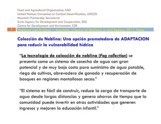Improving on the use of large‐scale climate information for statistically‐based local climate projections