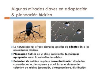 Improving on the use of large‐scale climate information for statistically‐based local climate projections