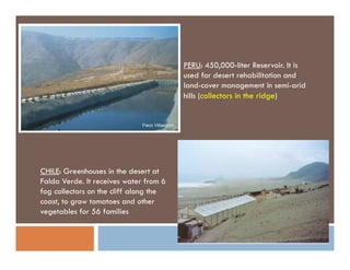 Improving on the use of large‐scale climate information for statistically‐based local climate projections