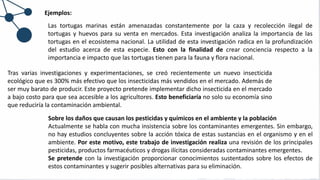 Ejemplos:
Las tortugas marinas están amenazadas constantemente por la caza y recolección ilegal de
tortugas y huevos para su venta en mercados. Esta investigación analiza la importancia de las
tortugas en el ecosistema nacional. La utilidad de esta investigación radica en la profundización
del estudio acerca de esta especie. Esto con la finalidad de crear conciencia respecto a la
importancia e impacto que las tortugas tienen para la fauna y flora nacional.
Tras varias investigaciones y experimentaciones, se creó recientemente un nuevo insecticida
ecológico que es 300% más efectivo que los insecticidas más vendidos en el mercado. Además de
ser muy barato de producir. Este proyecto pretende implementar dicho insecticida en el mercado
a bajo costo para que sea accesible a los agricultores. Esto beneficiaría no solo su economía sino
que reduciría la contaminación ambiental.
Sobre los daños que causan los pesticidas y químicos en el ambiente y la población
Actualmente se habla con mucha insistencia sobre los contaminantes emergentes. Sin embargo,
no hay estudios concluyentes sobre la acción tóxica de estas sustancias en el organismo y en el
ambiente. Por este motivo, este trabajo de investigación realiza una revisión de los principales
pesticidas, productos farmacéuticos y drogas ilícitas consideradas contaminantes emergentes.
Se pretende con la investigación proporcionar conocimientos sustentados sobre los efectos de
estos contaminantes y sugerir posibles alternativas para su eliminación.
 