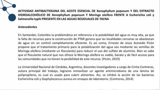 ACTIVIDAD ANTIBACTERIANA DEL ACEITE ESENCIAL DE Xenophyllum poposum Y DEL EXTRACTO
HIDROALCOHÓLICO DE Xenophyllum poposum Y Moringa oleifera FRENTE A Escherichia coli y
Salmonella typhi PRESENTE EN LAS AGUAS RESIDUALES DE TACNA
Antecedentes
En Santander, Colombia la problemática en referencia a la potabilidad del agua es muy alta, ya que
la falta de recursos para la construcción de PTAR genera que las localidades cercanas se abastezcan
de agua sin un control completamente eficiente. Es así como, Ernesto de Jesús Acevedo Picón
propone que el tratamiento primario para la potabilización del agua sea mediante las semillas de
Moringa oleifera (mediante un floculante) para reducir el uso del sulfato de aluminio. Bien se sabe
que el floculante natural que nos ofrece la Moringa oleifera es viable, barato y de fácil acceso para
las comunidades que no tienen la posibilidad de este recurso. (Picón, 2019)
La Universidad Nacional de Córdoba, Argentina, docentes investigadores a cargo de Cintia Contreras,
autora principal del trabajo, lograron inmovilizar un agente antimicrobiano de una lámina de
polipropileno, es cual es usado para cubrir alimentos. Así, se inhibió la acción de las bacterias
Escherichia coli y Staphylococcus aureus en ensayos de laboratorio. (Contreras, 2014)
 