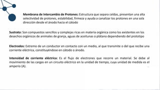 Electrodos: Extremo de un conductor en contacto con un medio, al que transmite o del que recibe una
corriente eléctrica, constituyéndose en cátodo o ánodo.
Intensidad de corriente eléctrica: Es el flujo de electrones que recorre un material. Se debe al
movimiento de las cargas en un circuito eléctrico en la unidad de tiempo, cuya unidad de medida es el
amperio (A).
Membrana de Intercambio de Protones: Estructura que separa celdas, presentan una alta
selectividad de protones, estabilidad, firmeza y ayuda a canalizar los protones en una sola
dirección desde el ánodo hacia el cátodo
Sustrato: Son compuestos sencillos y complejas ricas en materia orgánica como los existentes en los
desechos orgánicos de animales de granja, aguas de aceitunas o plátano dependiendo del prototipo
 