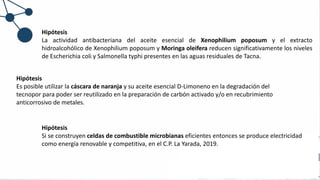 Hipótesis
La actividad antibacteriana del aceite esencial de Xenophilium poposum y el extracto
hidroalcohólico de Xenophilium poposum y Moringa oleifera reducen significativamente los niveles
de Escherichia coli y Salmonella typhi presentes en las aguas residuales de Tacna.
Hipótesis
Es posible utilizar la cáscara de naranja y su aceite esencial D-Limoneno en la degradación del
tecnopor para poder ser reutilizado en la preparación de carbón activado y/o en recubrimiento
anticorrosivo de metales.
Hipótesis
Si se construyen celdas de combustible microbianas eficientes entonces se produce electricidad
como energía renovable y competitiva, en el C.P. La Yarada, 2019.
 