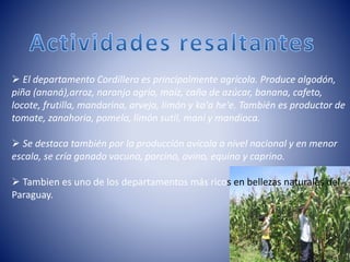  El departamento Cordillera es principalmente agrícola. Produce algodón,
piña (ananá),arroz, naranjo agrio, maíz, caña de azúcar, banana, cafeto,
locote, frutilla, mandarina, arveja, limón y ka'a he'e. También es productor de
tomate, zanahoria, pomelo, limón sutil, maní y mandioca.
 Se destaca también por la producción avícola a nivel nacional y en menor
escala, se cría ganado vacuno, porcino, ovino, equino y caprino.
 Tambien es uno de los departamentos más ricos en bellezas naturales del
Paraguay.
 