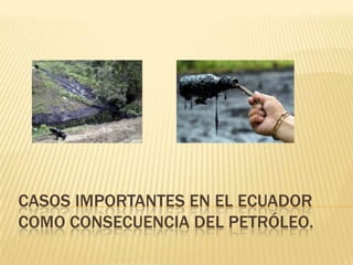CASOS IMPORTANTES EN EL ECUADOR
COMO CONSECUENCIA DEL PETRÓLEO.

 
