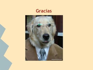 Gracias
 