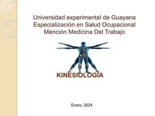 KINESIOLOGÍA
Universidad experimental de Guayana
Especialización en Salud Ocupacional
Mención Medicina Del Trabajo
Enero, 2024
 