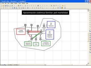 Aproximación sistémica-familiar: poli morbilidad

 