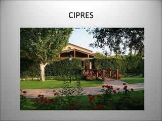 CIPRES 