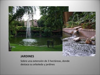 JARDINES Sobre una extensión de 3 hectáreas, donde destaca su arboleda y jardines 