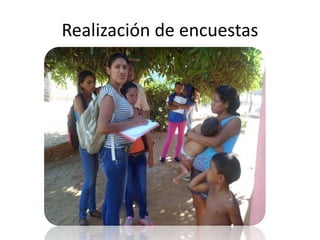 Realización de encuestas
 