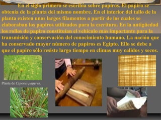 En el siglo primero se escribía sobre papiros. El papiro se
obtenía de la planta del mismo nombre. En el interior del tallo de la
planta existen unos largos filamentos a partir de los cuales se
elaboraban los papiros utilizados para la escritura. En la antigüedad
los rollos de papiro constituían el vehículo más importante para la
transmisión y conservación del conocimiento humano. La nación que
ha conservado mayor número de papiros es Egipto. Ello se debe a
que el papiro sólo resiste largo tiempo en climas muy calidos y secos.

Planta de Cyperus papyrus.

 