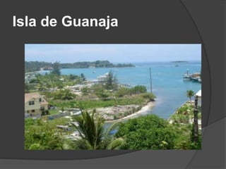 Isla de Guanaja
 