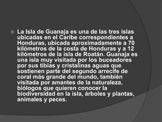    La Isla de Guanaja es una de las tres islas
    ubicadas en el Caribe correspondientes a
    Honduras, ubicada aproximadamente a 70
    kilómetros de la costa de Honduras y a 12
    kilómetros de la isla de Roatán. Guanaja es
    una isla muy visitada por los buceadores
    por sus tibias y cristalinas aguas que
    sostienen parte del segundo arrecife de
    coral más grande del mundo, también
    visitada por amantes de la naturaleza,
    biólogos que quieren conocer la
    biodiversidad en la isla, árboles y plantas,
    animales y peces.
 