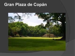 Gran Plaza de Copán
 