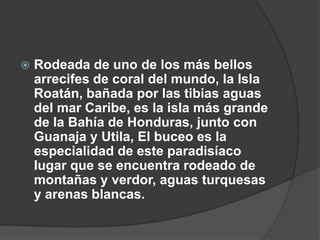    Rodeada de uno de los más bellos
    arrecifes de coral del mundo, la Isla
    Roatán, bañada por las tibias aguas
    del mar Caribe, es la isla más grande
    de la Bahía de Honduras, junto con
    Guanaja y Utila, El buceo es la
    especialidad de este paradisíaco
    lugar que se encuentra rodeado de
    montañas y verdor, aguas turquesas
    y arenas blancas.
 