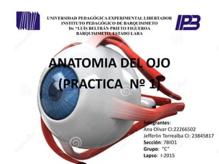 UNIVERSIDAD PEDAGÓGICA EXPERIMENTAL LIBERTADOR
INSTITUTO PEDAGÓGICO DE BARQUISIMETO
Dr. “LUÍS BELTRÁN PRIETO FIGUEROA
BARQUISIMETO, ESTADO LARA
ANATOMIA DEL OJO
(PRACTICA Nº 1)
Integrantes:
Ana Olivar CI:22266502
Jefferlin Torrealba CI: 23845817
Sección: 7BIO1
Grupo: “C”
Lapso: I-2015
 