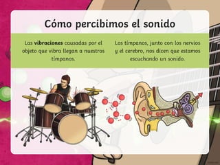 Cómo percibimos el sonido
Las vibraciones causadas por el
objeto que vibra llegan a nuestros
tímpanos.
Los tímpanos, junto con los nervios
y el cerebro, nos dicen que estamos
escuchando un sonido.
 