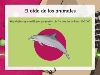 El oído de los animales
Human ears can detect a range of frequencies of 20 - 20,000 Hz.
Elephants can detect even lower frequencies than humans (from 14 Hz).
Hay delfines y murciélagos que pueden oír frecuencias de hasta 100.000
Hz.
 