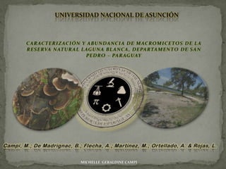 Campi, M.; De Madrignac, B.; Flecha, A.; Martínez, M.; Ortellado, A. & Rojas, L.
UNIVERSIDAD NACIONAL DE ASUNCIÓN
MICHELLE GERALDINE CAMPI
 