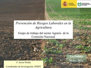 Prevención de Riesgos Laborales en la
                     Agricultura
           Grupo de trabajo del sector Agrario de la
                      Comisión Nacional




                                                       La Palma
                                                       Mayo 2011
          F. Javier Pinilla
Coordinador de Investigación. INSHT
 