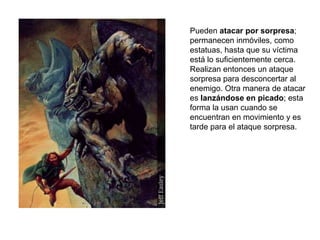 Pueden atacar por sorpresa;
permanecen inmóviles, como
estatuas, hasta que su víctima
está lo suficientemente cerca.
Realizan entonces un ataque
sorpresa para desconcertar al
enemigo. Otra manera de atacar
es lanzándose en picado; esta
forma la usan cuando se
encuentran en movimiento y es
tarde para el ataque sorpresa.
 
