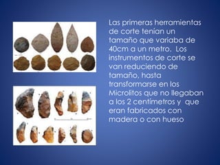 Las primeras herramientas
de corte tenían un
tamaño que variaba de
40cm a un metro. Los
instrumentos de corte se
van reduciendo de
tamaño, hasta
transformarse en los
Microlitos que no llegaban
a los 2 centímetros y que
eran fabricados con
madera o con hueso
 