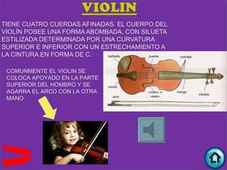 TIENE CUATRO CUERDAS AFINADAS. EL CUERPO DEL
VIOLÍN POSEE UNA FORMA ABOMBADA, CON SILUETA
ESTILIZADA DETERMINADA POR UNA CURVATURA
SUPERIOR E INFERIOR CON UN ESTRECHAMIENTO A
LA CINTURA EN FORMA DE C.

 COMUNMENTE EL VIOLIN SE
 COLOCA APOYADO EN LA PARTE
 SUPERIOR DEL HOMBRO Y SE
 AGARRA EL ARCO CON LA OTRA
 MANO
 