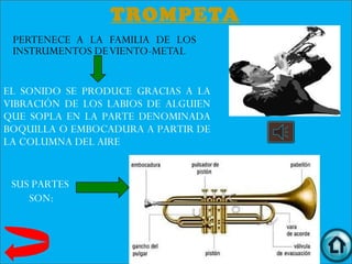 TROMPETA
 PERTENECE A LA FAMILIA DE LOS
 INSTRUMENTOS DE VIENTO-METAL


EL SONIDO SE PRODUCE GRACIAS A LA
VIBRACIÓN DE LOS LABIOS DE ALGUIEN
QUE SOPLA EN LA PARTE DENOMINADA
BOQUILLA O EMBOCADURA A PARTIR DE
LA COLUMNA DEL AIRE


 SUS PARTES
    SON:
 