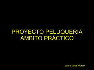 PROYECTO PELUQUERIA
  AMBITO PRÁCTICO



              Laura Vives Martín
 