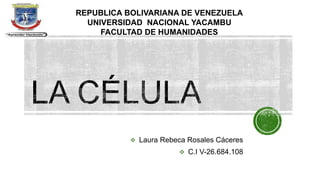  Laura Rebeca Rosales Cáceres
 C.I V-26.684.108
REPUBLICA BOLIVARIANA DE VENEZUELA
UNIVERSIDAD NACIONAL YACAMBU
FACULTAD DE HUMANIDADES
 