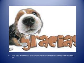 •   Autor:http://www.google.com.co/search?hl=es&q=imagenes+de+adolescentes&gs_sm=e&gs_
    upl
 