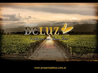 www.proyectodeluz.com.ar
 