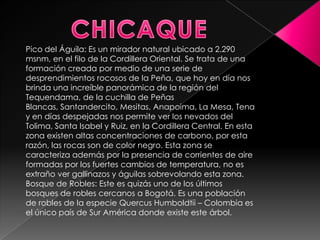 CHICAQUEPico del Águila: Es un mirador natural ubicado a 2.290 msnm, en el filo de la Cordillera Oriental. Se trata de una formación creada por medio de una serie de desprendimientos rocosos de la Peña, que hoy en día nos brinda una increíble panorámica de la región del Tequendama, de la cuchilla de Peñas Blancas, Santandercito, Mesitas, Anapoima, La Mesa, Tena y en días despejadas nos permite ver los nevados del Tolima, Santa Isabel y Ruiz, en la Cordillera Central. En esta zona existen altas concentraciones de carbono, por esta razón, las rocas son de color negro. Esta zona se caracteriza además por la presencia de corrientes de aire formadas por los fuertes cambios de temperatura, no es extraño ver gallinazos y águilas sobrevolando esta zona.Bosque de Robles: Este es quizás uno de los últimos bosques de robles cercanos a Bogotá. Es una población de robles de la especie QuercusHumboldtii – Colombia es el único país de Sur América donde existe este árbol.