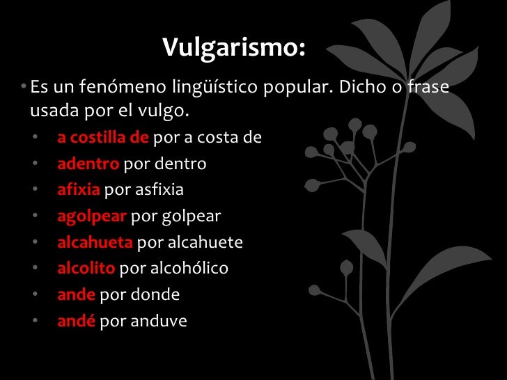 Vicios del Lenguaje